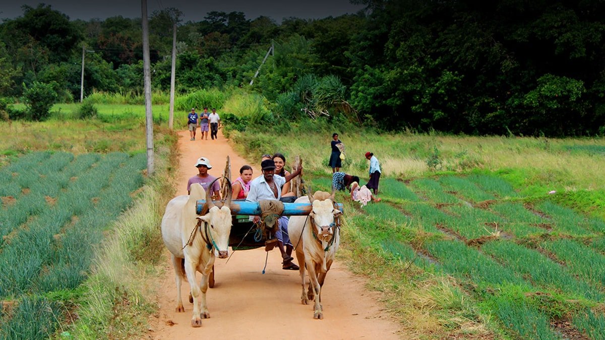 Small-community-tourism-development-in-Sri-Lanka