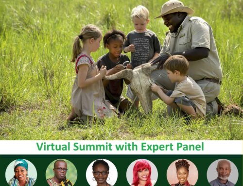 Redefining African Travel: Meaningful Tourism For Sustainable Development in Africa